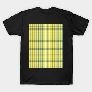 Sunset and Sunrise Aesthetic Catriona 2 Hand Drawn Textured Plaid Pattern T-Shirt